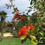 Hacienda Monica Umag