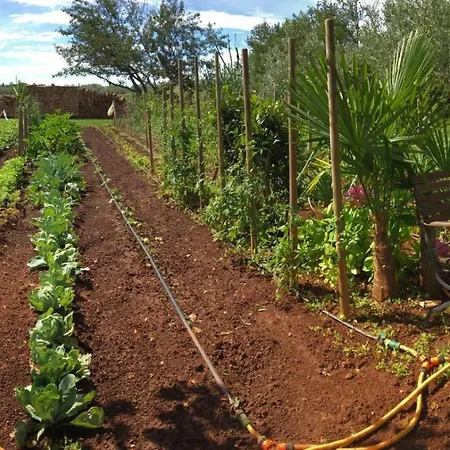 Hacienda Monica Umag