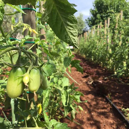 Apartament Hacienda Monica *