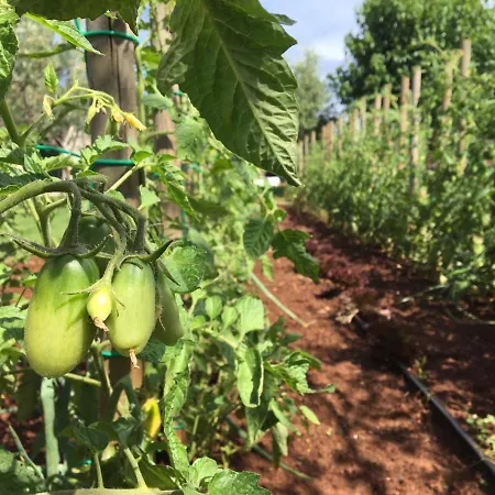 Appartamento Hacienda Monica *