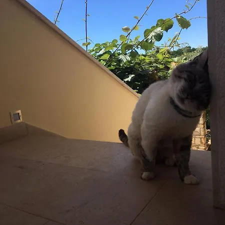 Apartament Hacienda Monica Umag