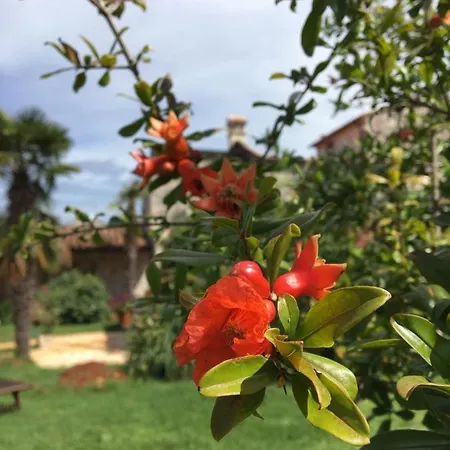 Hacienda Monica Umago