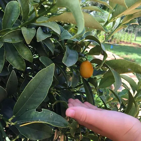 Appartamento Hacienda Monica *