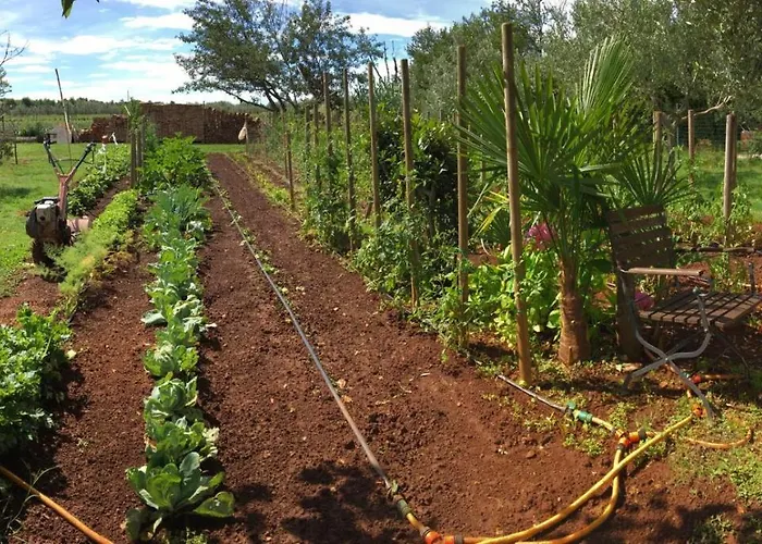 Hacienda Monica Umag