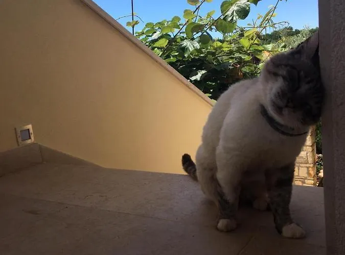 Lejlighed Hacienda Monica Umag