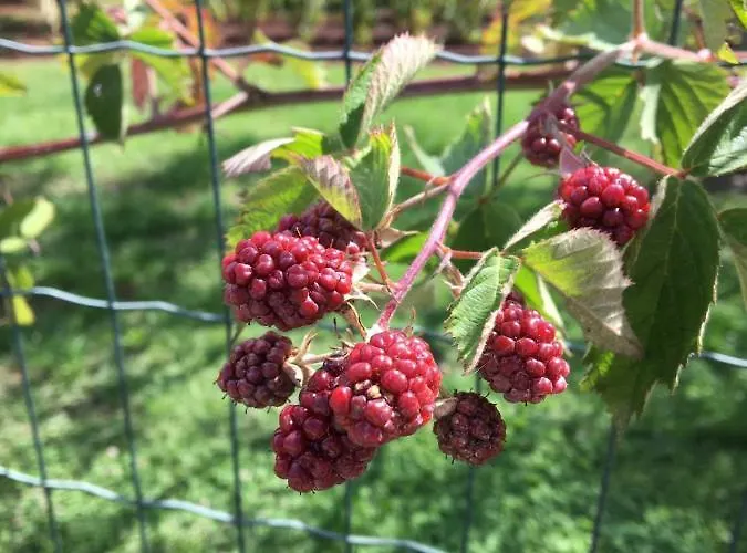 Hacienda Monica Umag