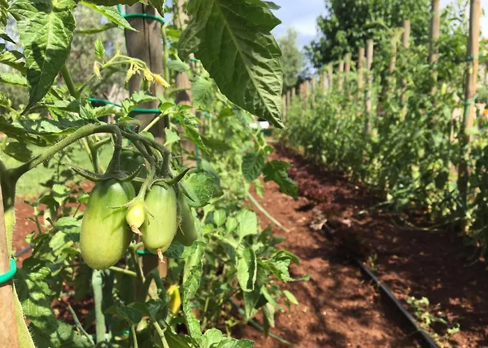 Apartman Hacienda Monica *