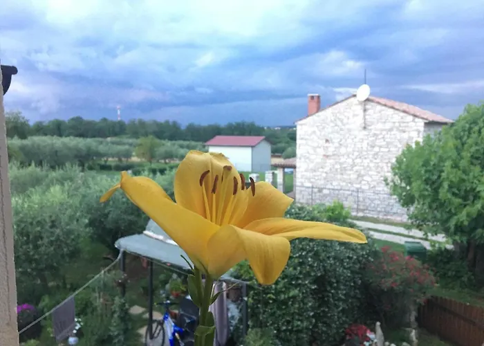 Apartman Hacienda Monica