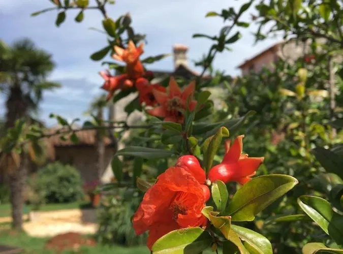 Hacienda Monica Umag