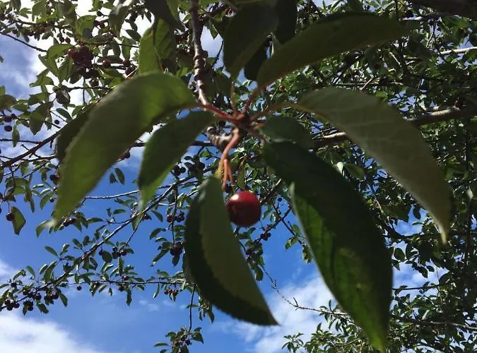 Hacienda Monica * Umag