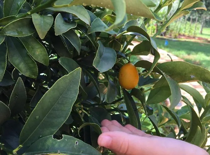 Apartman Hacienda Monica *