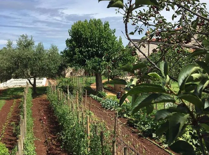 Hacienda Monica *